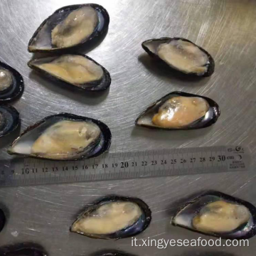 Cozze mezzo guscio surgelate